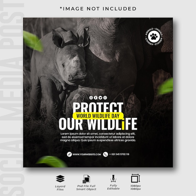 World wildlife day instagram post template design