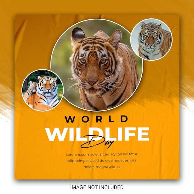 PSD world wildlife day social media instagram post template for wildlife and environment protection