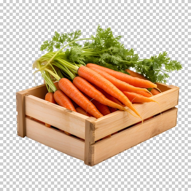 PSD wortels in een houten doos geïsoleerd op een doorzichtige achtergrond