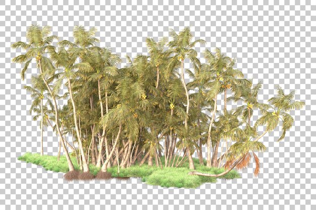 Wyspa Liści Izolowana Na Przezroczystym Tle Ilustracji Renderowania 3d