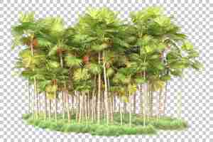 PSD wyspa liści izolowana na przezroczystym tle ilustracji renderowania 3d