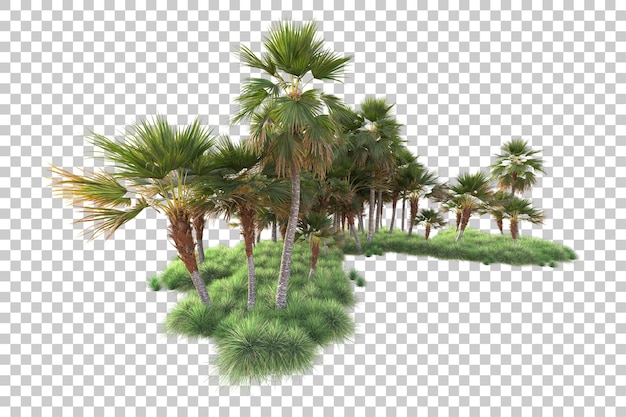 PSD wyspa liści odizolowana na przezroczystym tle ilustracja renderowania 3d