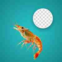 PSD yabby isolated on transparent background