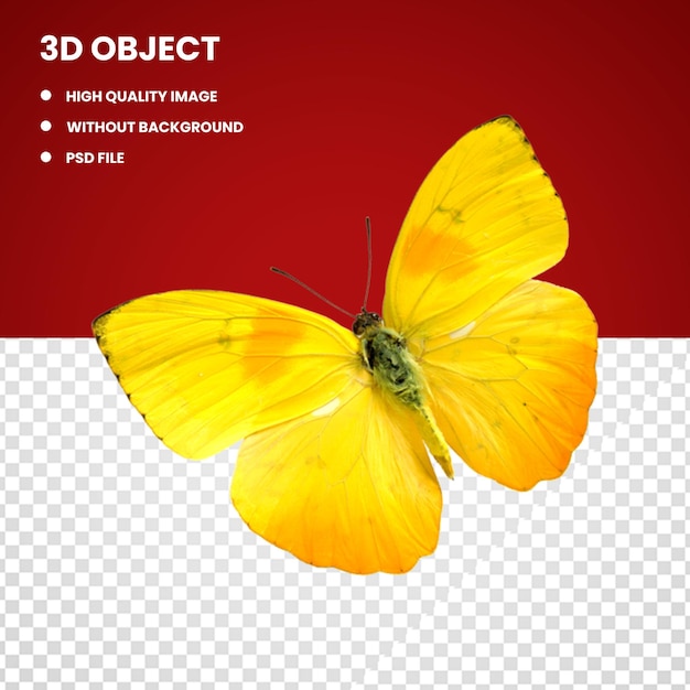 PSD yellow butterfly