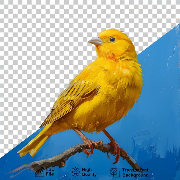 PSD yellow canary bird isolated on transparent background