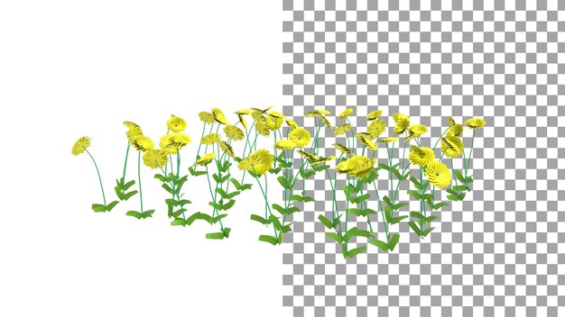 PSD fiore giallo della dalia senza ombra 3d rendering