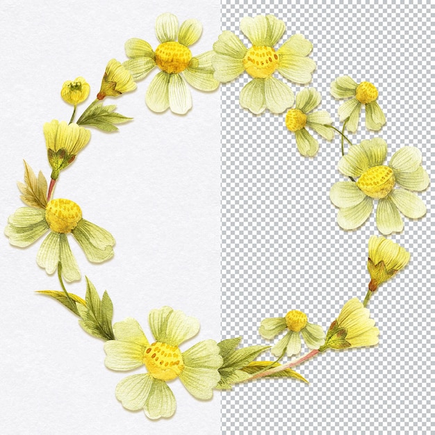 Венок из желтых ромашек для поздравлений и любых открыток Ботаническая акварель ручной работы