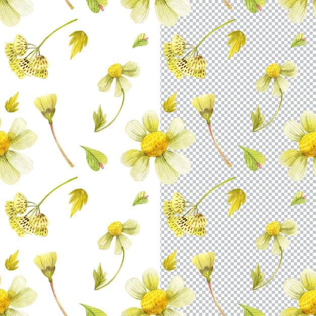 黄色の花のシームレスなパターンコテージスタイルの野生植物の花束植物の水彩画