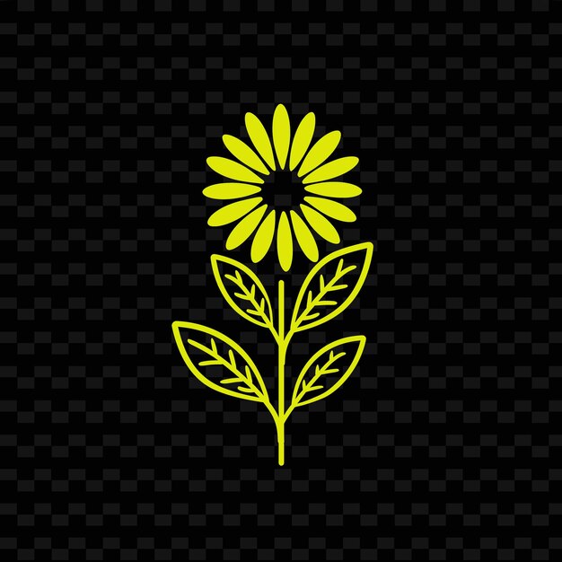 PSD yellow flower on a black background