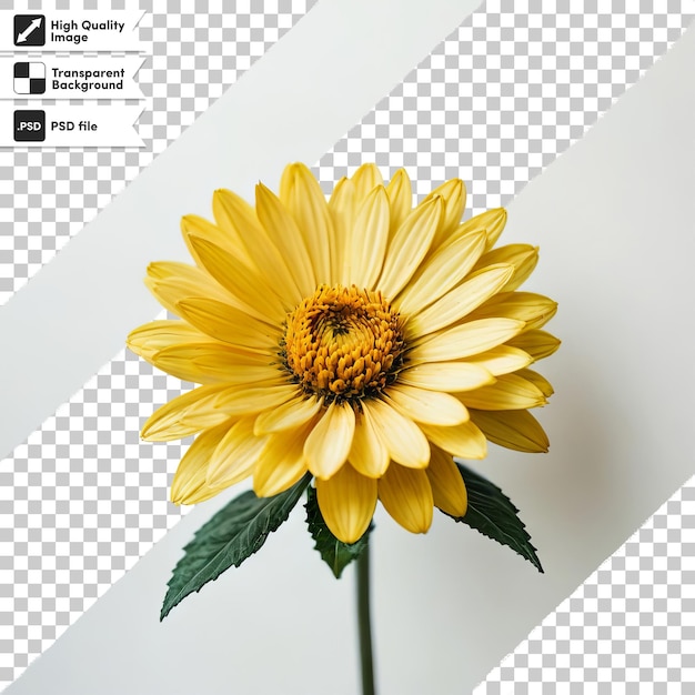 PSD a yellow flower with a black border and the words  dx  on it