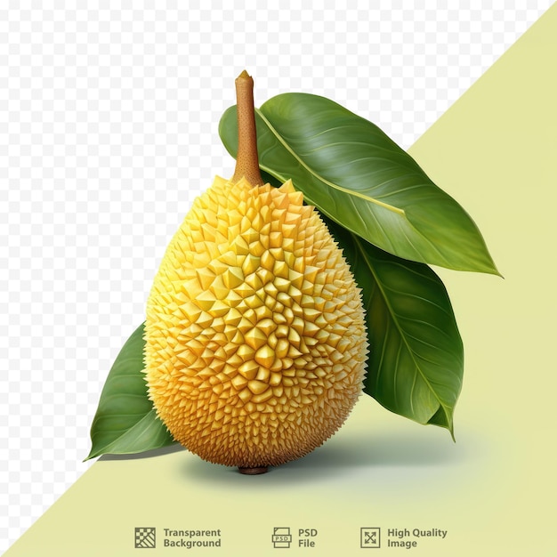 PSD a yellow fruit with green leaves and a yellow flower on it