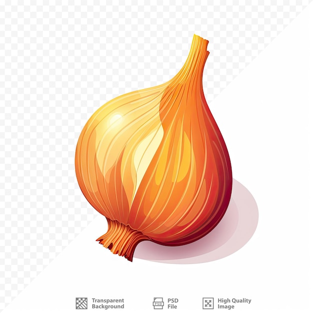 PSD a yellow onion with the word quot the word quot on it