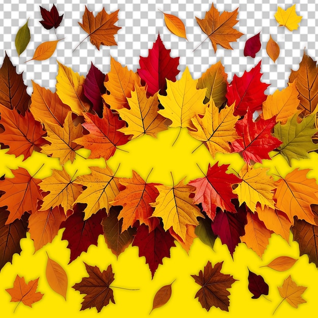 yellow and orange maple leaf with the word autumn on it transparent background psd