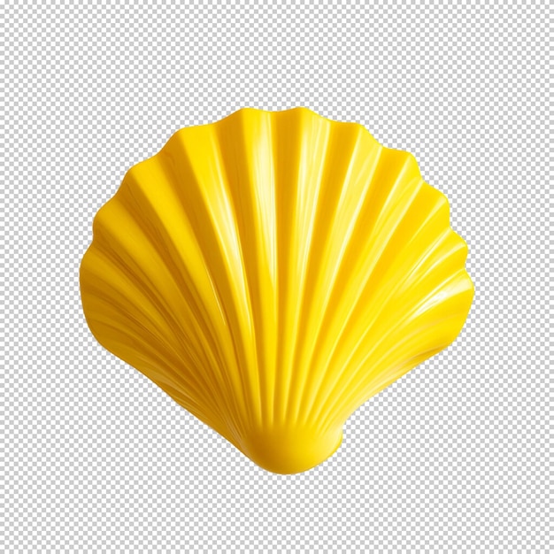 yellow seashell close up