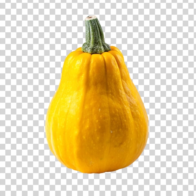 Yellow squash on transparent background