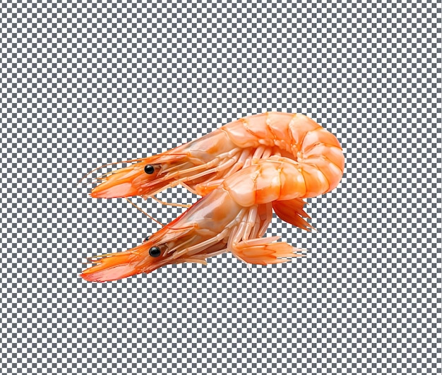 Yummy phoenix tail prawns isolated on transparent background