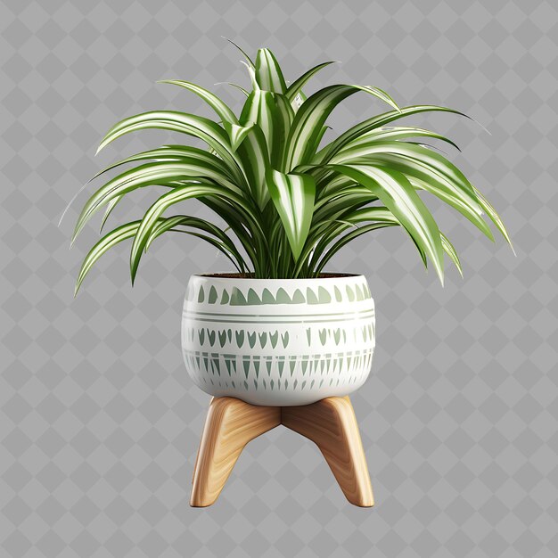 PSD z2 spider plant in a ceramic pot with tropical design on a ratt isolated green tree for home decor