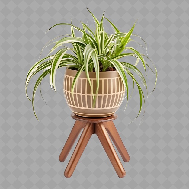 PSD z2 spider plants in an earthenware pot with geometric design on isolated green tree for home decor