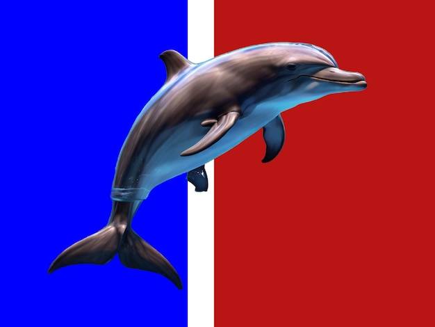 PSD zabawny delfin 3d ilustracja