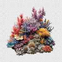 PSD zacht koraal geïsoleerd op wit