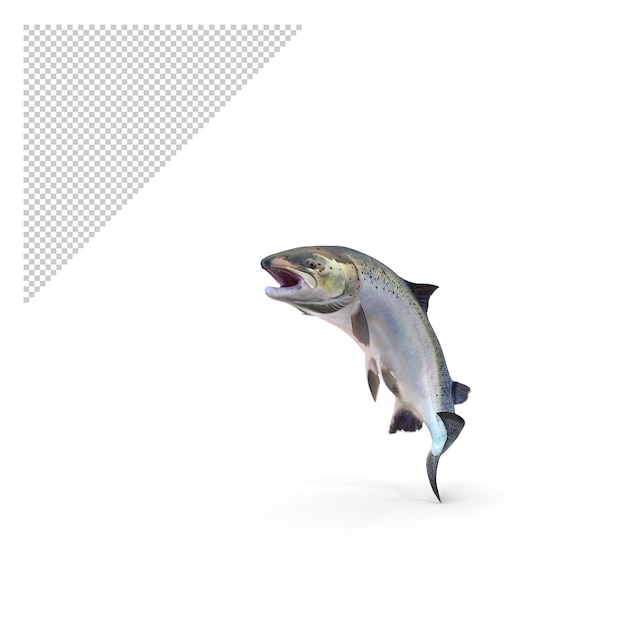 PSD zalm vis spring pose, png