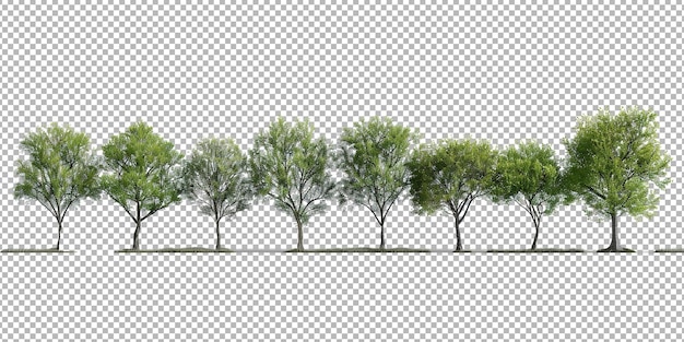 PSD zbiór drzew