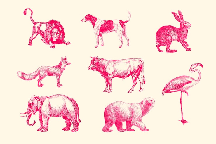 PSD zbiór ilustracji vintage drukuje styl risography kolaż notatnik