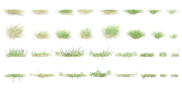 PSD zbiór trawy i krzewów z maską alfa z widoku z góry renderowanie 3d dla kompozycji cyfrowej