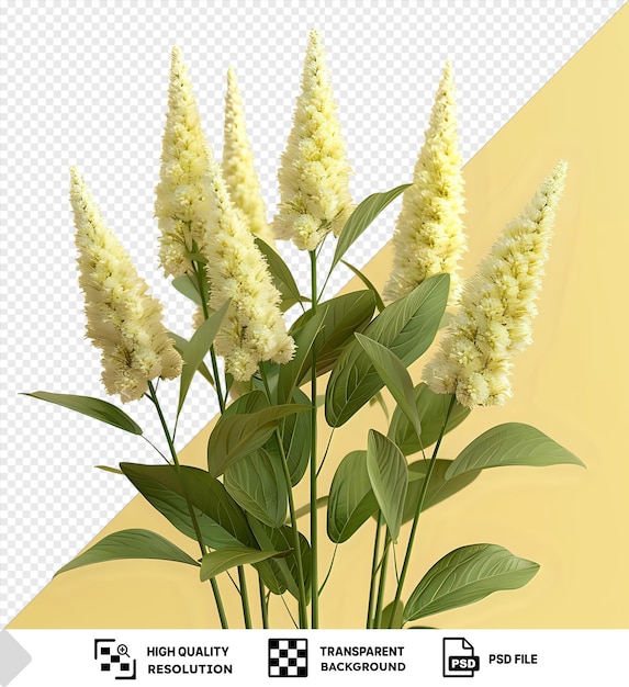 PSD zbliżenie grupy kwiatów veronicastrum virginicum w przezroczystym szklanym wazonie otoczonym zielonymi liśćmi i łodygami przy żółtej ścianie