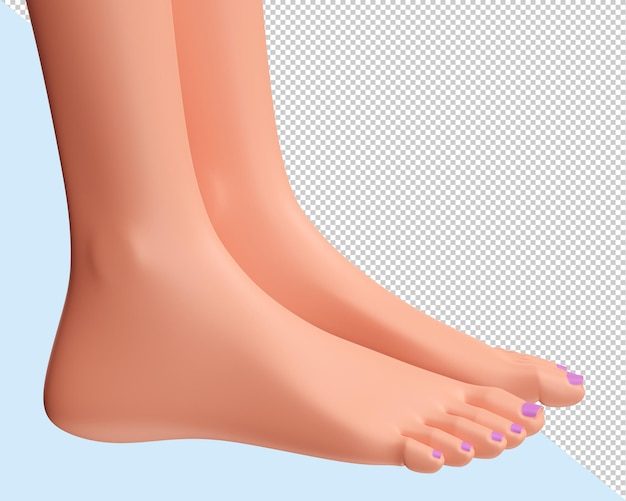 Zbliżenie Kobiece Stopy. Nogi Kobiet, Koncepcja Pedicure I Samoopieki, Renderowania 3d.