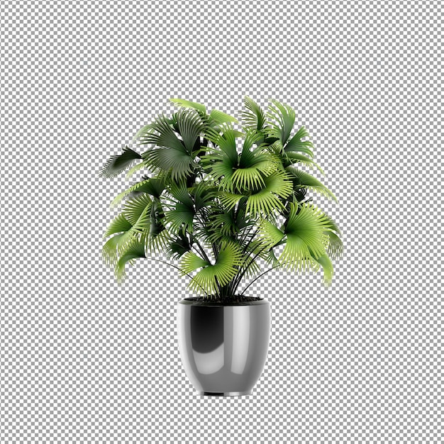 Zbliżenie kwiatu w wazonie 3D