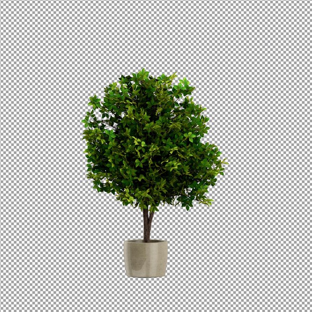 Zbliżenie kwiatu w wazonie 3D