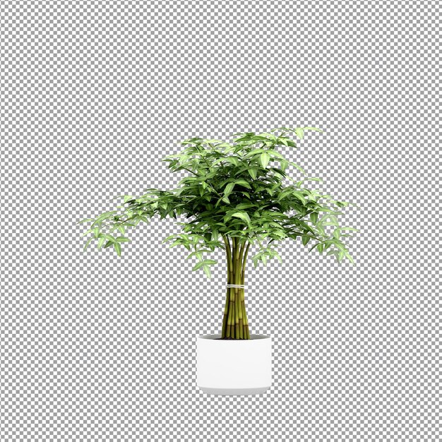 Zbliżenie na kwiat w wazonie renderowania 3d