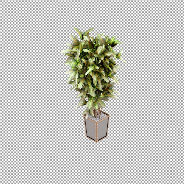 Zbliżenie na kwiat w wazonie renderowania 3d