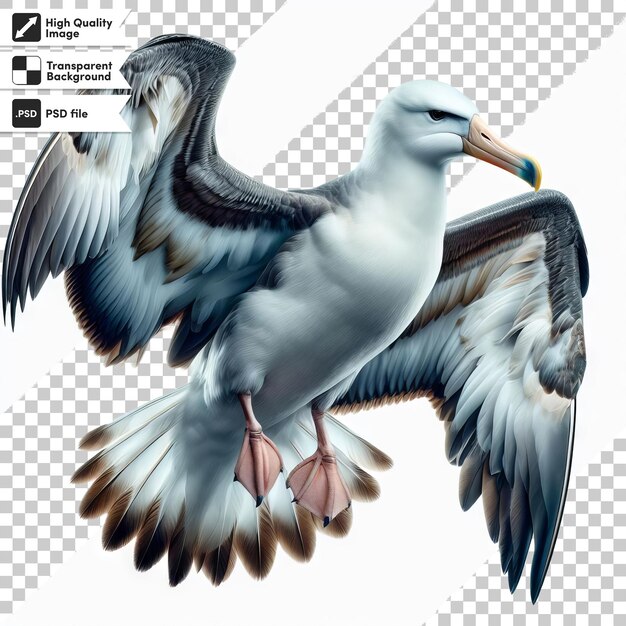PSD zdjęcie ptaka, na którym jest słowo egret