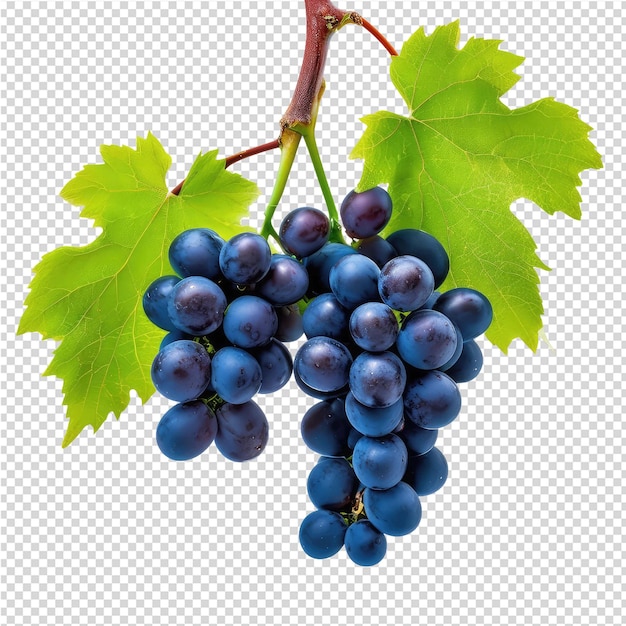 PSD zdjęcie winogron z liściem, na którym jest napisane: