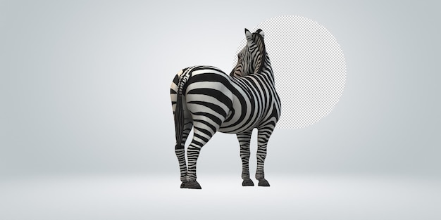 PSD zebra isolated on a transparent background