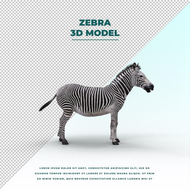 PSD zebra