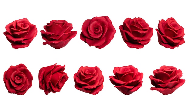 PSD zestaw czerwonych róż izolowany wektor na czystym tle