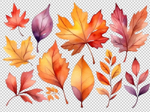 PSD zestaw jesiennych liści kolekcja akwarelów