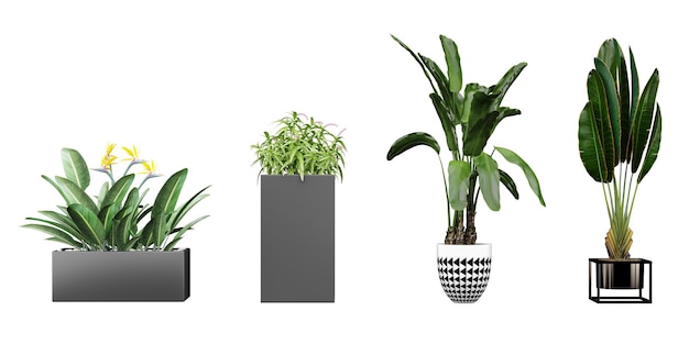 PSD zestaw roślin w różnych rozmiarach, w tym jedna z napisem „zielony”