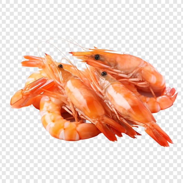 PSD zhejiang shrimp isolated on transparent background