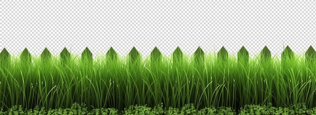 PSD zielone rośliny trawiaste i ogrodzenia