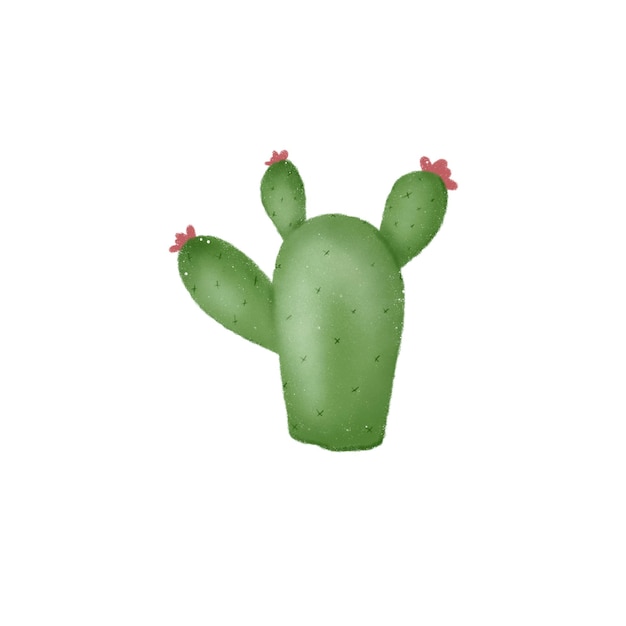 PSD zielony kaktus z różowymi kwiatami na nim