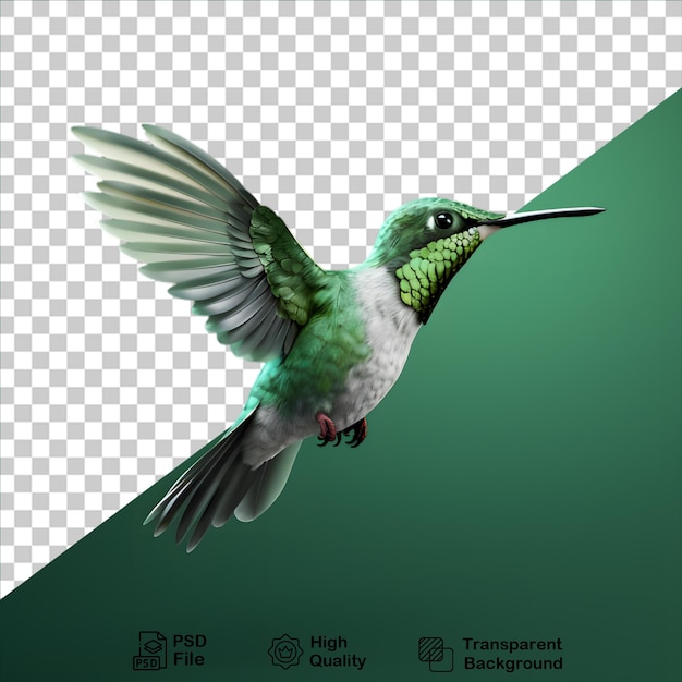 PSD zielony kolibri odizolowany na przezroczystym tle zawiera plik png