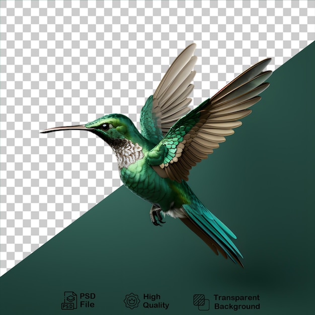 PSD zielony kolibri odizolowany na przezroczystym tle zawiera plik png