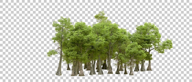 Zielony las izolowany na przezroczystym tle ilustracja renderowania 3D