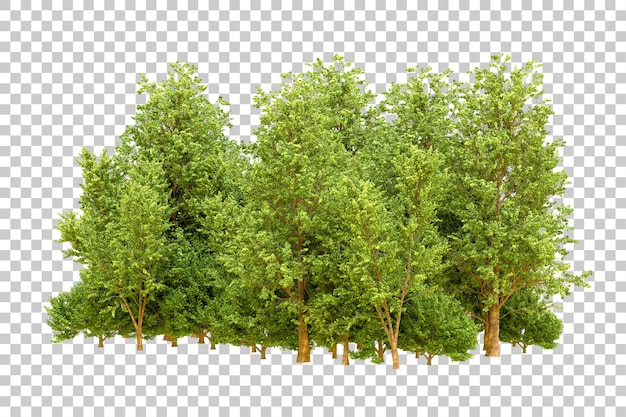 PSD zielony las odizolowany na przezroczystym tle ilustracja renderingu 3d