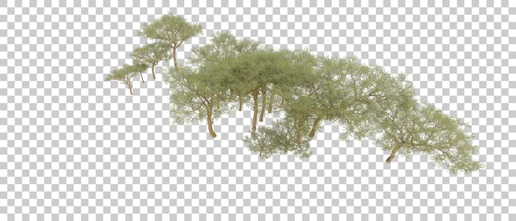 PSD zielony las odizolowany na tle ilustracja renderingu 3d