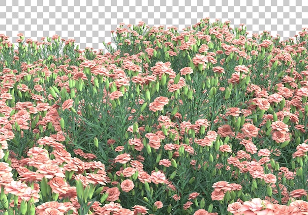 Zielony Obszar Z Kwiatami Na Przezroczystym Tle Ilustracja Renderowania 3d